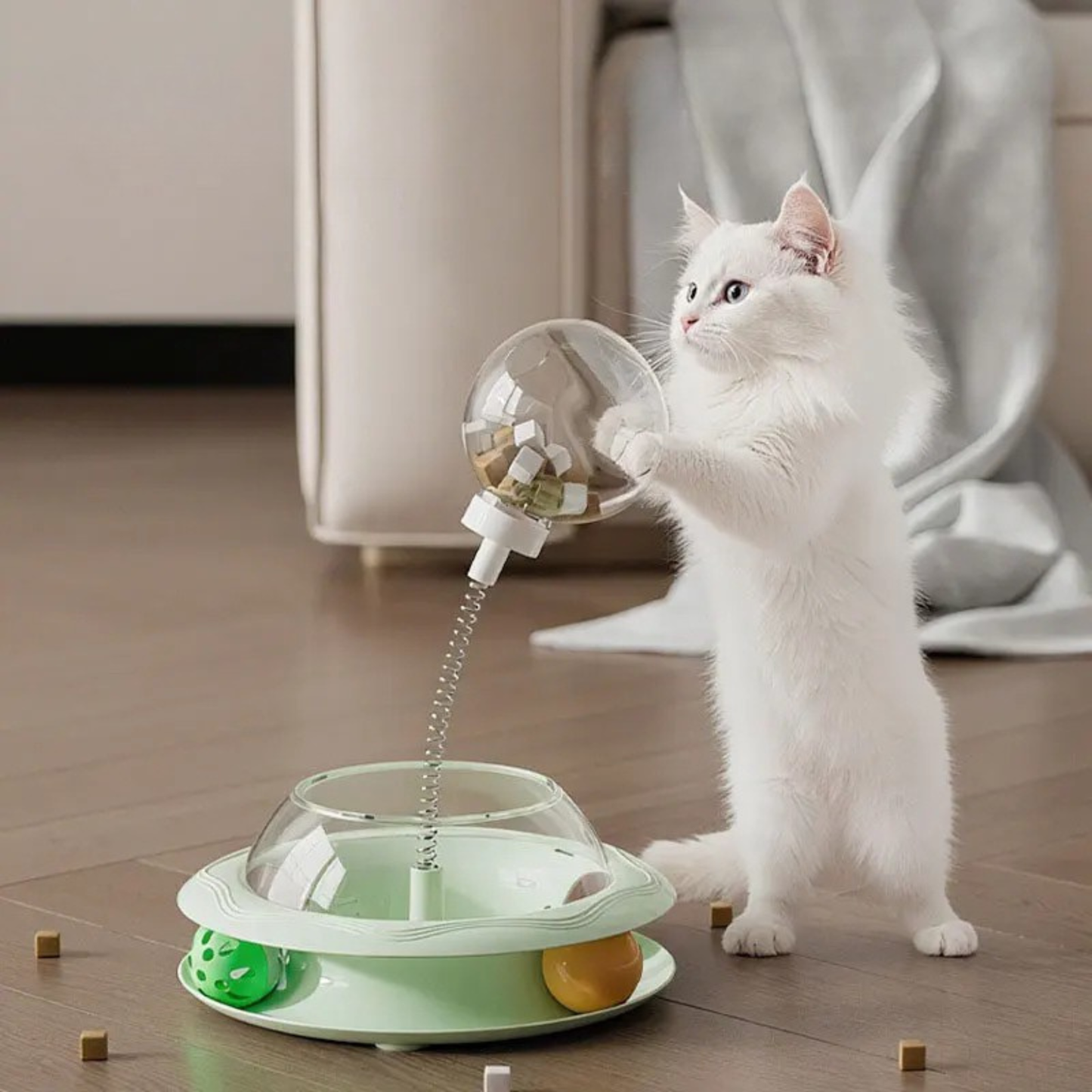 Katzen-Spielzeug Bälle