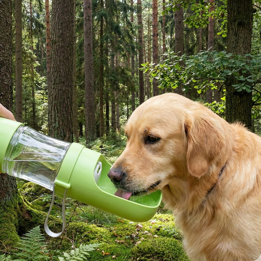 Wasserflasche für unterwegs