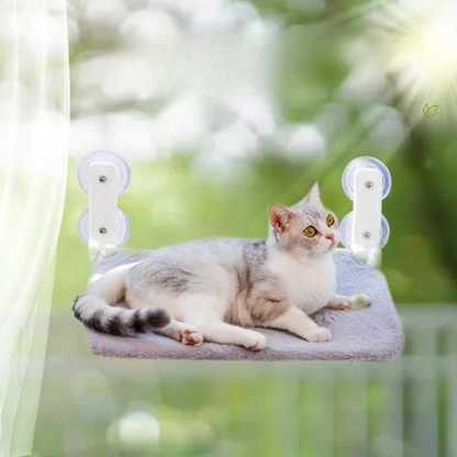 Fenster Katzen Hängematte