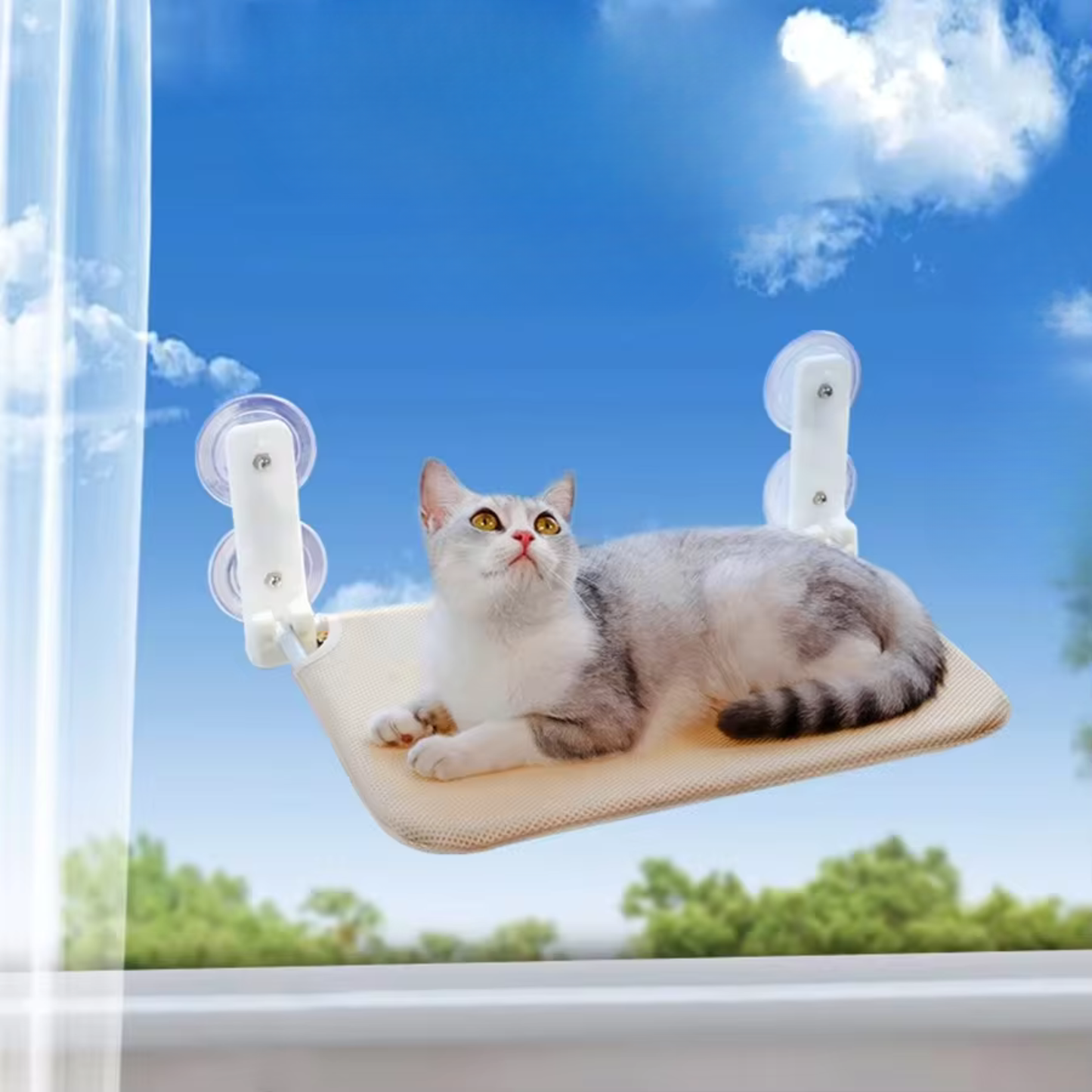 Fenster Katzen Hängematte