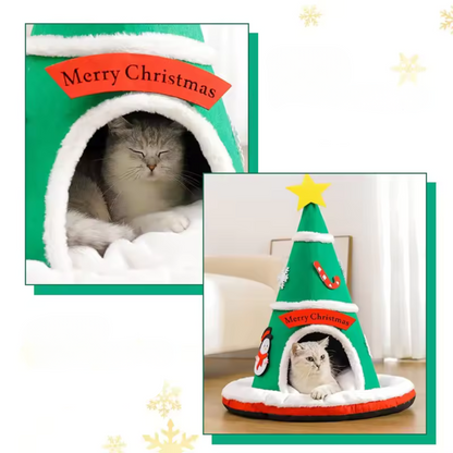 Haustier Nest Winter