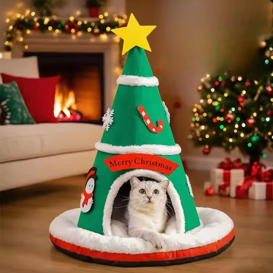 Haustier Nest Winter