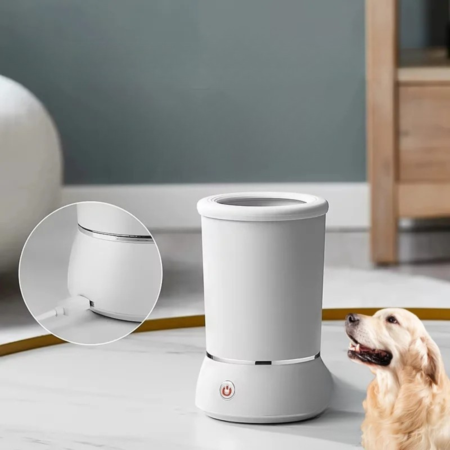 Automatischer Pfotenreiniger